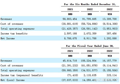 重銷售輕研發(fā)，致保科技赴美IPO成長性迎考，單一業(yè)務(wù)依賴風(fēng)險(xiǎn)凸顯